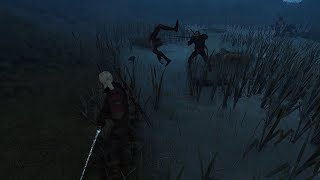 The Witcher 3 Wild Hunt pt137The Final Trial pt1 [upl. by Halueb]