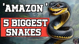 अमेज़न जंगल के सांप  असली खतरनाक शिकारी”😱😱। BIGGEST SNAKES [upl. by Enelad]