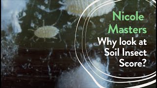 Nicole Masters Explains Why to Look at Soil Insect Score [upl. by Belva]