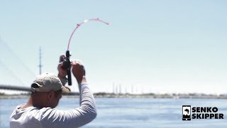 Saltwater Fishing Fun wDock Demon Fishing Rod [upl. by Notsniw552]