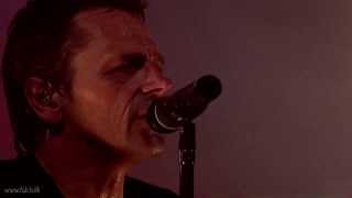 Michael Falch amp Boat Man Love  Den Eneste I Verden Live [upl. by Aipmylo750]