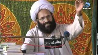 Mari Indus  Wilayat‏  Allama Muhammad Hussain Najfi [upl. by Ennaitak]