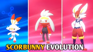 How To Evolve Scorbunny Into Raboot And Cinderace In Pokemon Sword amp Shield  Galar Pokedex [upl. by Ecnarret]