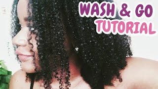 DÉFINIR SES BOUCLES CHEVEUX CRÉPUS 4A4BFRISÉSBOUCLÉS  TUTORIEL WASH AND GO [upl. by Tsiuqram178]