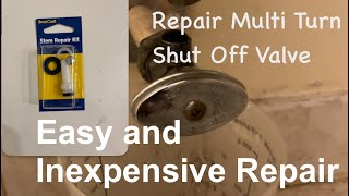 Fix Multi Turn ShutOff Valve With a Stem Repair Kit  Easy Fix [upl. by Uranie345]