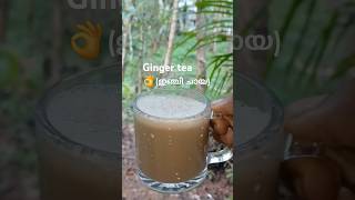 Ginger tea abhija249 [upl. by Aleciram]