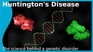 Huntingtons Disease The Science of a genetic disorder [upl. by Elisabet]