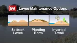 Levee Safety in Californias Central Valley Levee Vegetation [upl. by Narrad]