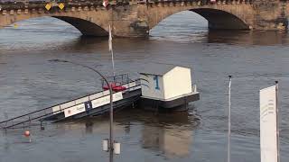 Hochwasser Dresden 19092024 [upl. by Annoek]