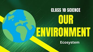 Our environment class 10 part1 ecosystem [upl. by Lertsek]