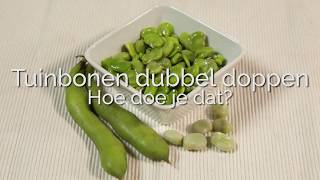 Tuinbonen dubbeldoppen hoe doe je dat PuurGezond [upl. by Nelyag698]