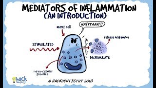 Mediators of Inflammation An Introduction [upl. by Ogait940]