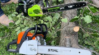 Stihl vs Greenworks chainsaw comparison [upl. by Gant]