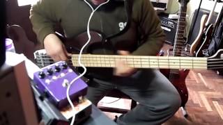 Sisters  Divididos  Bass cover [upl. by Arihat]