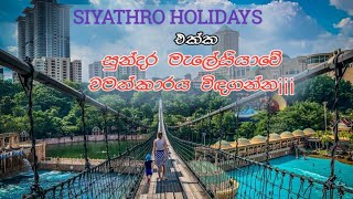 Malaysian Tour July 2024  Siyathro Holidays [upl. by Yhtur]