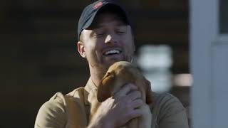 The Puppy and Clydesdale Budweiser 2014 Super Bowl Best Buds Commercial [upl. by Enelrihs]