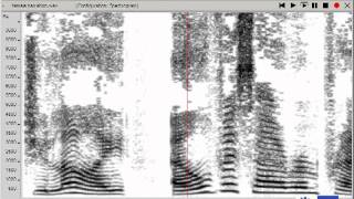 Real time spectrographic display healthy female voice [upl. by Retepnhoj]