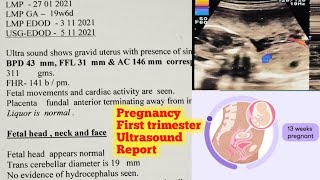 13 Week Pregnancy Ultrasound  First Ultrasound Report Kaise Padhe  3 Month Pregnancy Ultrasound [upl. by Poler]