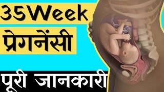 35 Week Pregnancy in Hindi  35 weeks Pregnant baby  35 हफ्ते की प्रेगनेंसी की जानकारी [upl. by Harrison]