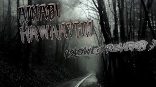 AJNABI  HAWAAYEIN  SlowedReverb [upl. by Einahc591]