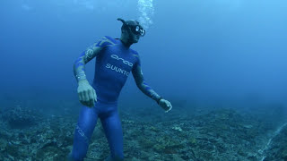 William Trubridge Freediving in Bali [upl. by Ellesirg]