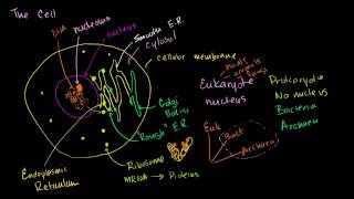 Parts of a cell [upl. by Albrecht]