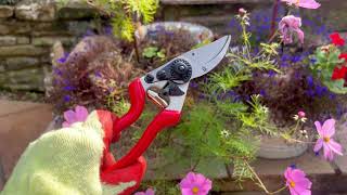 Left Handed Secateurs [upl. by Einnej]