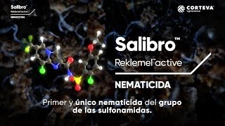 Conoce Salibro® Reklemel Active [upl. by Postman796]