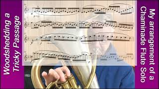 Euphonium Practice on Chaminade Concertino for Flute to be published soon [upl. by Petey860]