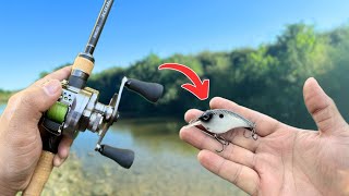 BFS Crankbait Fishing [upl. by Atwood135]