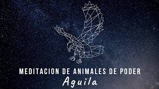 Meditación animales de poder Águila [upl. by Gerty738]