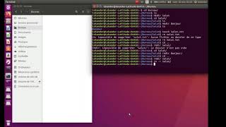 Gestion des fichiers sous Ubuntu [upl. by Yddeg]