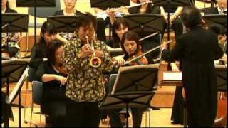 Haydn  Trumpet concerto [upl. by Sinnod]