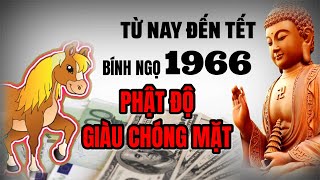 Từ nay đến tết Bính Ngọ 1966 PHẬT ĐỘ Thầy tử vi ĐẢM BẢO con giáp này GIÀU CHÓNG MẶT [upl. by Eelrebmyk]