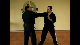 The Five Swords Kenpo Karate Technique [upl. by Desdamona]