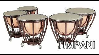 TIMPANI  Sound Effect [upl. by Levenson940]