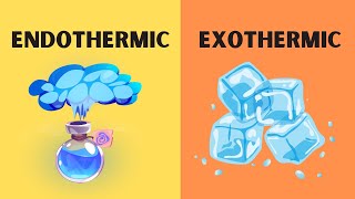 Endothermic and Excothermic Phase Changes [upl. by Yreved]