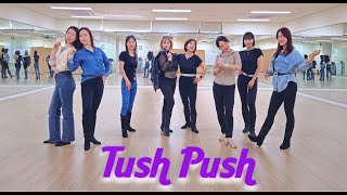 TUSH PUSH  VINTAGE LINEDANCE [upl. by Devine]