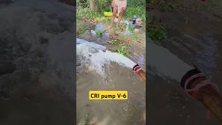 3Hp submersible pump submersible viralvideo agriculture [upl. by Harriet]