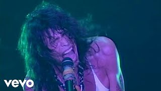 Aerosmith  Cryin’ Live From Pittsburgh 1993 [upl. by Eugenides]