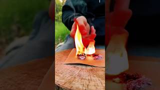 Survival skills bushcraft paint 🎨 bushcraft experiment survival skills shorts [upl. by Suivatna]