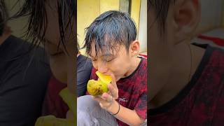 begini cara agar buah mangga cepat matang diy kreatif viral art craft [upl. by Jarib]