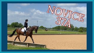 NOVICE 37A BRITISH DRESSAGE TEST [upl. by Enivid]