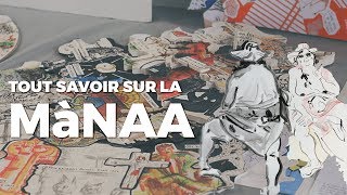 FAQ MàNAA  Tout savoir sur la MàNAA Mise à Niveau en Arts Appliqués [upl. by Lubeck]