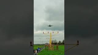 Transavia B737 low landing aviation pilot airplane avgeek planespotting schiphol [upl. by Curtis]