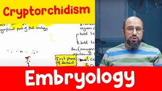 Ep 1  Cryptorchidism  Embryology  Dr Khaled Salah [upl. by Singh10]