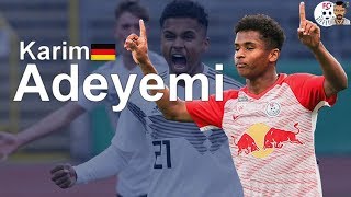 Karim Adeyemi  FC Liefering  Goals Skills Assists [upl. by Atnoled]