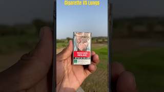 Cigarette vs lungs Experiment shorts facts ytshorts cigarette [upl. by Acissey]