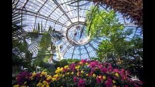 See 👀 the 🐢Turtles Smell 👃 the flowers 💐  Greenhouse Tour [upl. by Harvie]