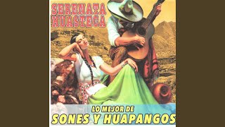 Serenata Huasteca [upl. by Siderf]